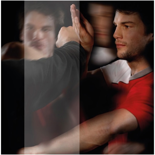 Selbstverteidigung Vorarlberg, WingTsun Schule Dornbirn, Wolfgang Stademann, Selbstverteidigung, EWTO, Trainingszeiten